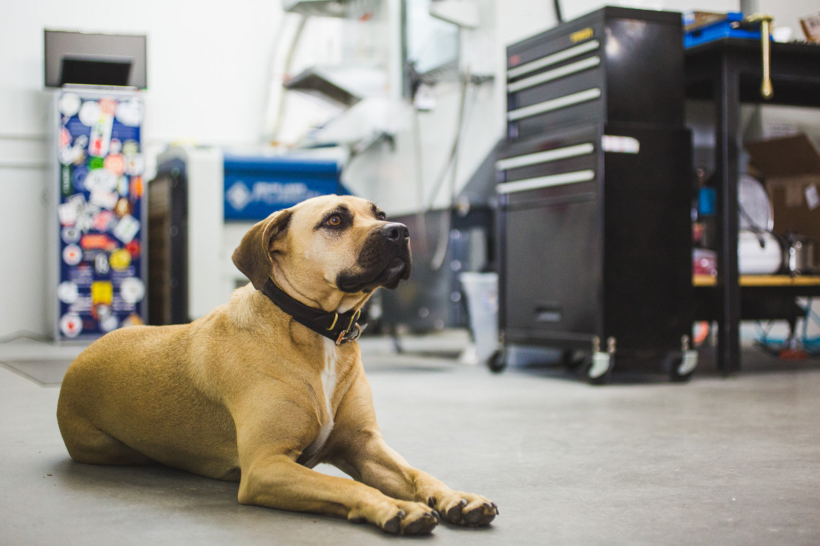 Building a Watch Company: The Man in the Ceiling and Deals on DMG Machines