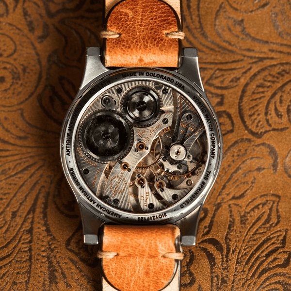The Springfield 120 (45mm) Watch Back